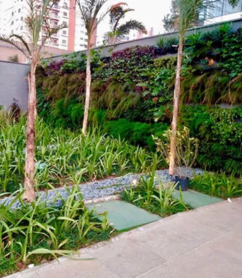 Estiagem: qual é a importância do jardim em tempos de seca?