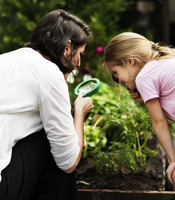 Mito ou verdade: conversar com as plantas ajuda no crescimento delas?