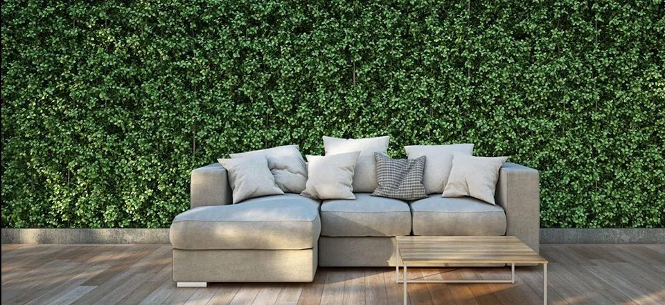 Cinco benefícios dos jardins verticais na época mais quente do ano