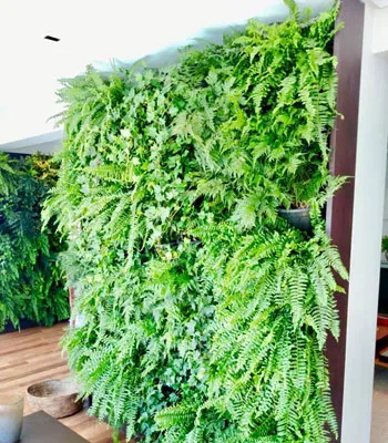 Jardins suspensos são tendência que devolvem o verde ao cenário urbano