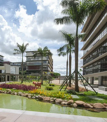 Como manter o jardim bonito no inverno?