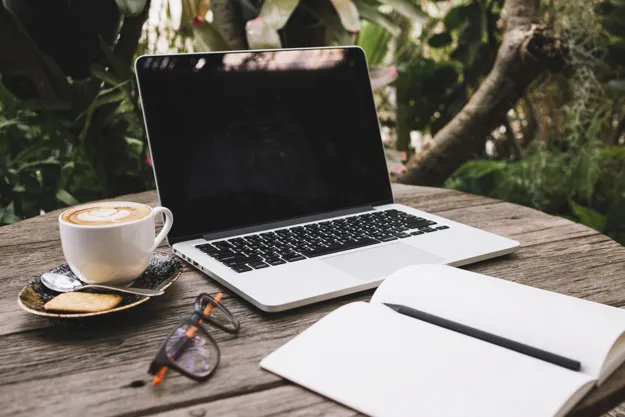 Jardim no escritório: como construir um ambiente de criatividade e bem estar?