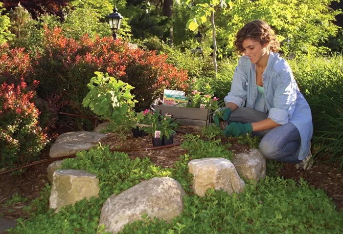 Regatec lança sistema autônomo de irrigação para pequenos jardins